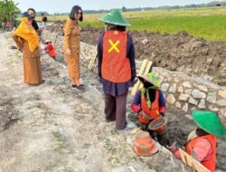 Perkuat Ketahanan Pangan, Pemkab Bojonegoro Bangun Infrastruktur Irigasi.
