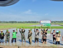 Pemkab Bojonegoro Sukseskan Gerakan Percepatan Tanam Padi Serempak se-Jawa Timur