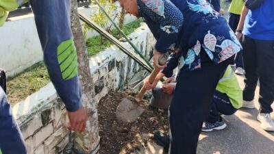 Dinas Sosial Bojonegoro Salurkan Bantuan 20 Pohon Pule untuk Penghijauan Kawasan Makam Kanjeng Soemantri