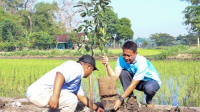 Bupati Medhayoh Digelar di Desa Ngraho-Gayam, Tinjau Program Gayatri dan Ngobrol Akrab dengan Petani