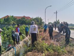 Tekan Serangan Hama, BUMDes Srisedani Bersama Petani Kedungprimpen Gelar Gropyokan Tikus