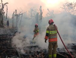 Tim Damkarmat Bojonegoro Gerak Cepat Padamkan Kebakaran Tiga Rumah di Ngraho